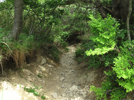 20140602hike (328)